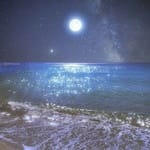 Patricia Luna avatar