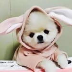 Mónica Rivas avatar