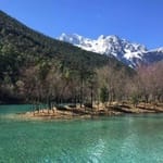 Carlos Mendoza avatar